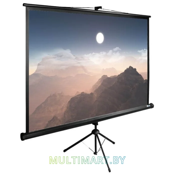 Проекционный экран CACTUS TriExpert 180x180 (CS-PSTE-180x180-BK)